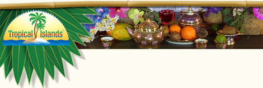 zur Homepage des Tropical Islands Resort